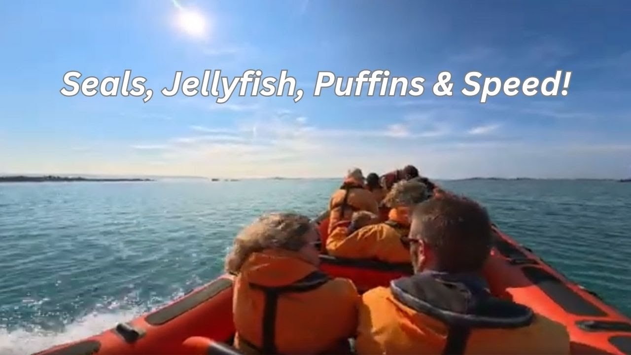 Island Rib Voyages: Guernsey to Herm Wildlife Tour, Seals, Puffins & More! June 2025