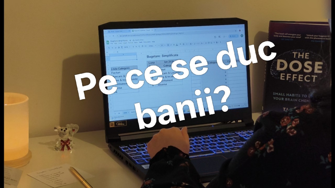 Pe ce se duc banii? -   SVD 19
