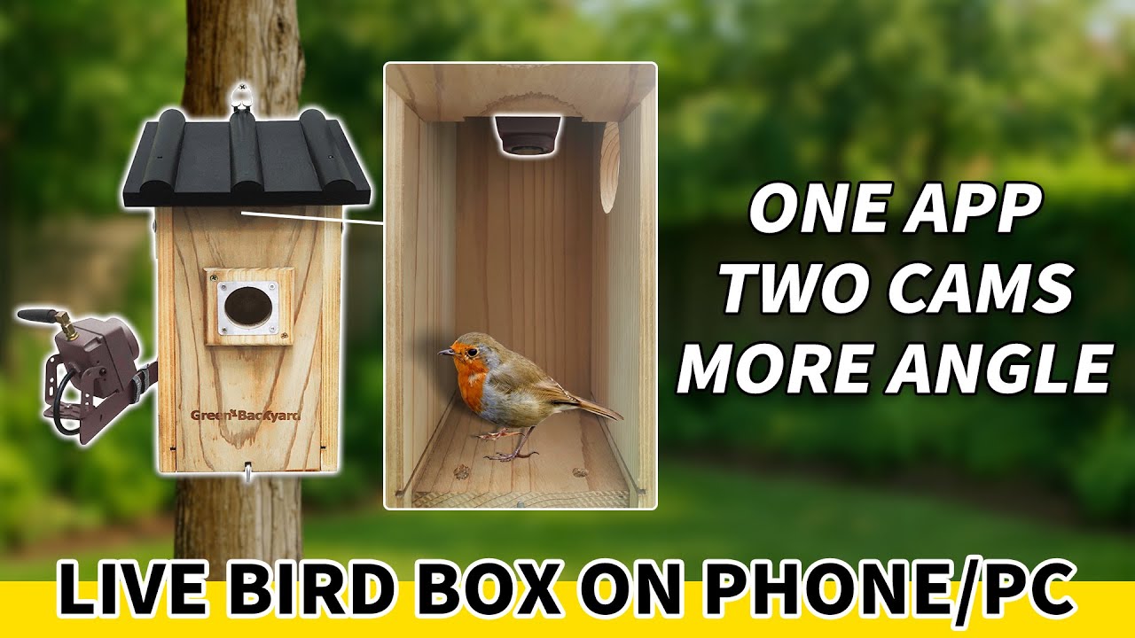 Comment installer DEUX caméras dans un nichoir à oiseaux | Observez les oiseaux sous tous les angles