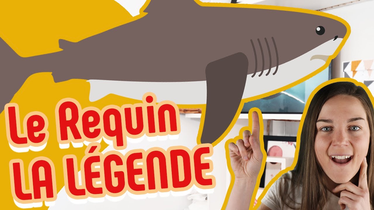 30 - Le MÉGALODON!