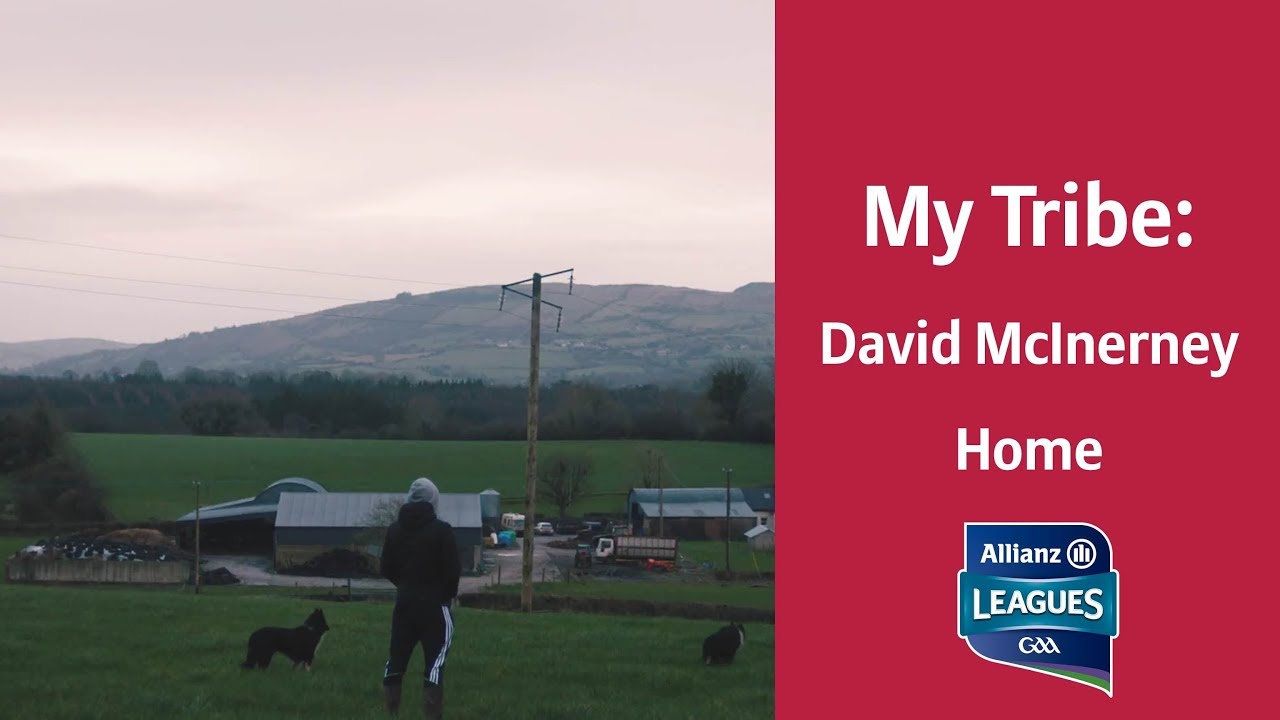 MyTribe - David McInerney | Home