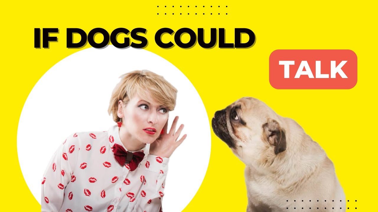 This Is What Your Dog Wants to Tell You Every Day