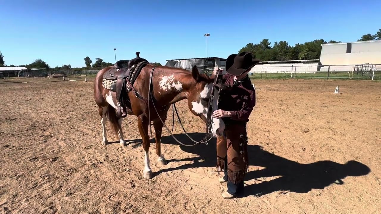 WDAAZ Heart of the Horse, Entry #5920, Celebrity Apprentice: Basic Test 1, BT1-A