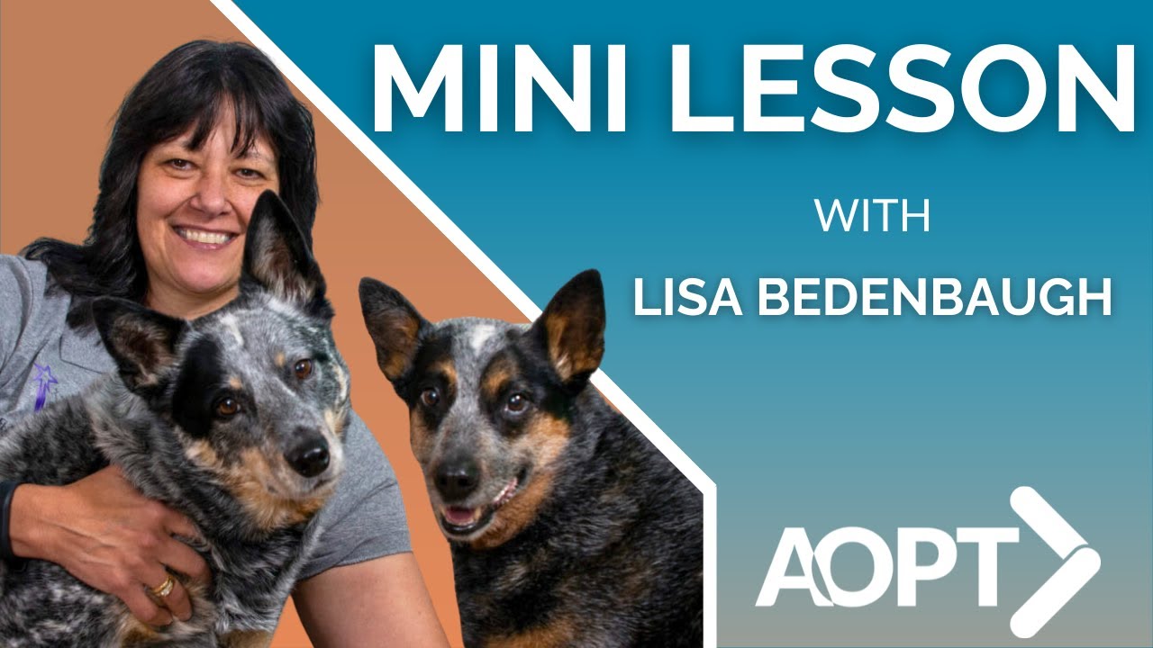 Canine Anatomy 101 for Physical Therapists