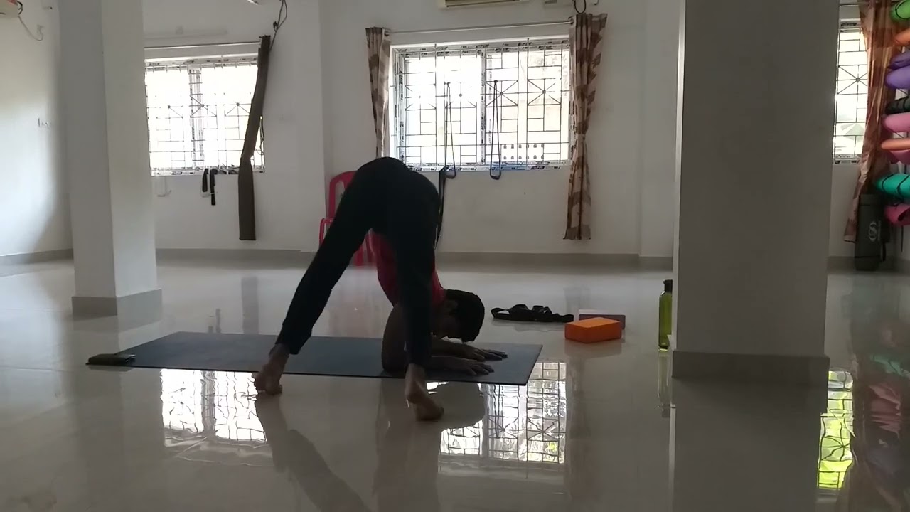 Shoulder strength Dolphin pose Twist Deltoid muscle Strenth                prepare for Sirasasana