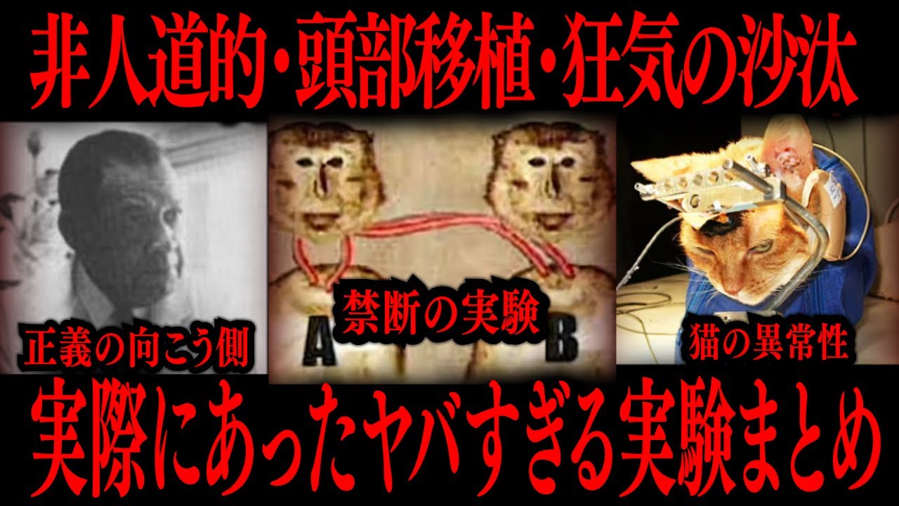 【切り抜き】実際にあったヤバすぎる実験まとめ【たっくーTV/作業用】
