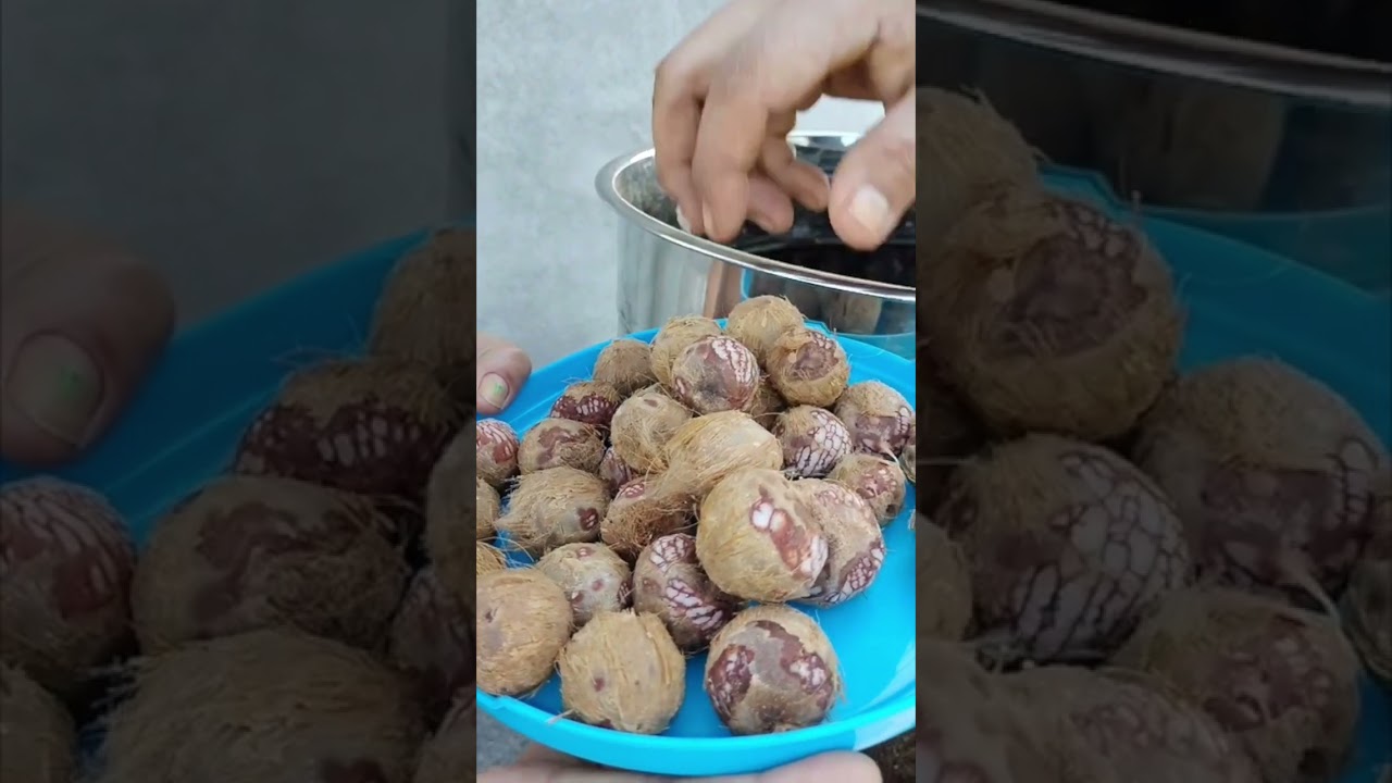 Areca nut, Betel nut, Dehusking / Polishing / Peeling/Finishing Machine