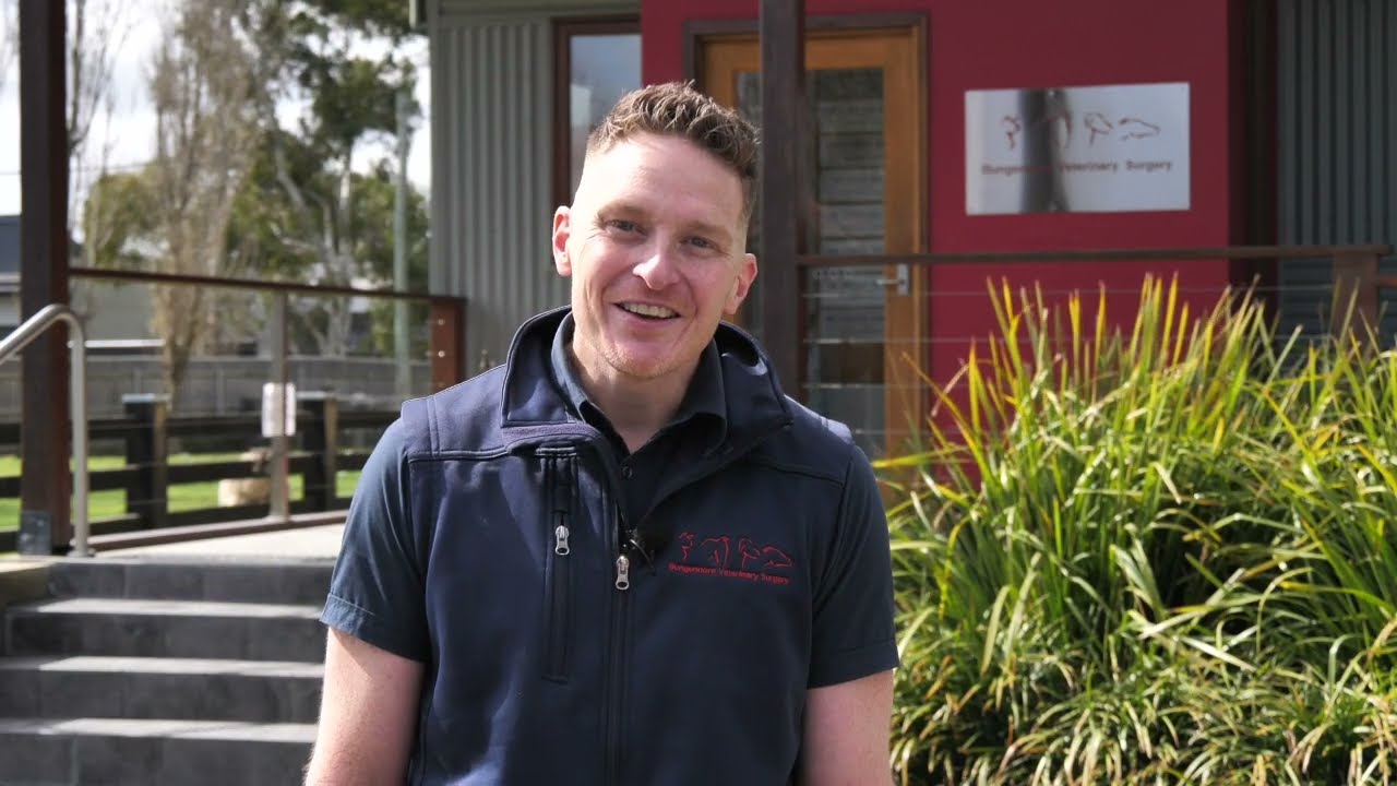 Welcome to Bungendore Veterinary Surgery