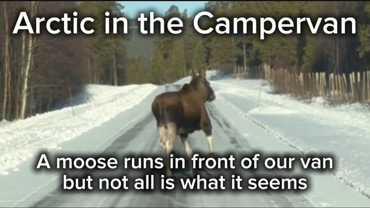 Arctic in the Campervan
