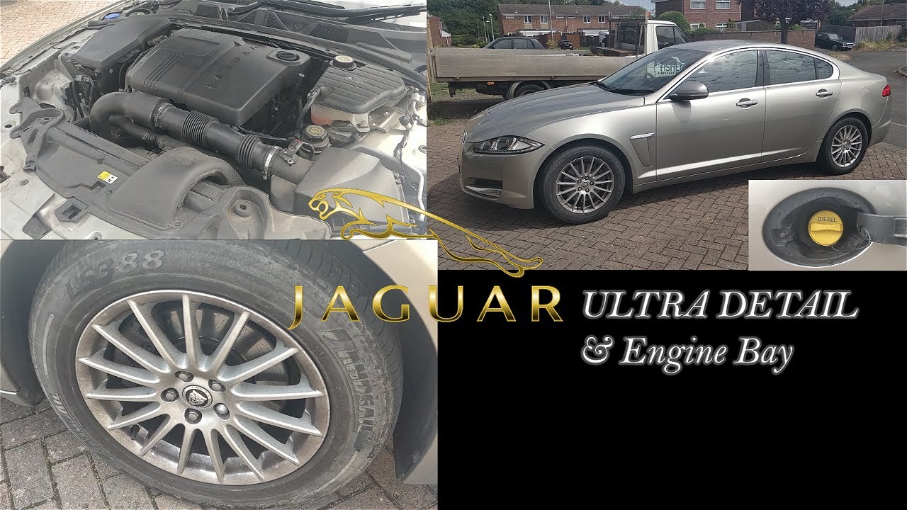 Detailing a Jaguar XF Luxury along with an engine bay detail