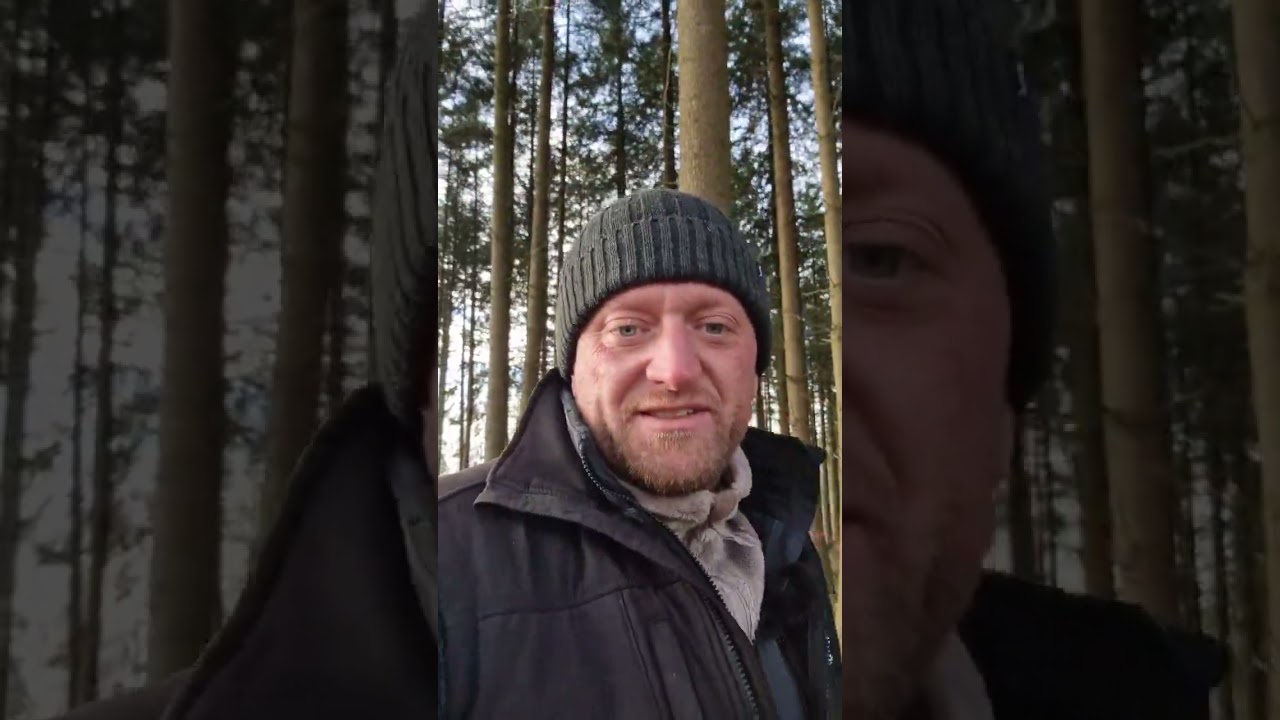 Gebrüder Daub - Douglasien-Bestand für eine Durchforstung vorbereiten