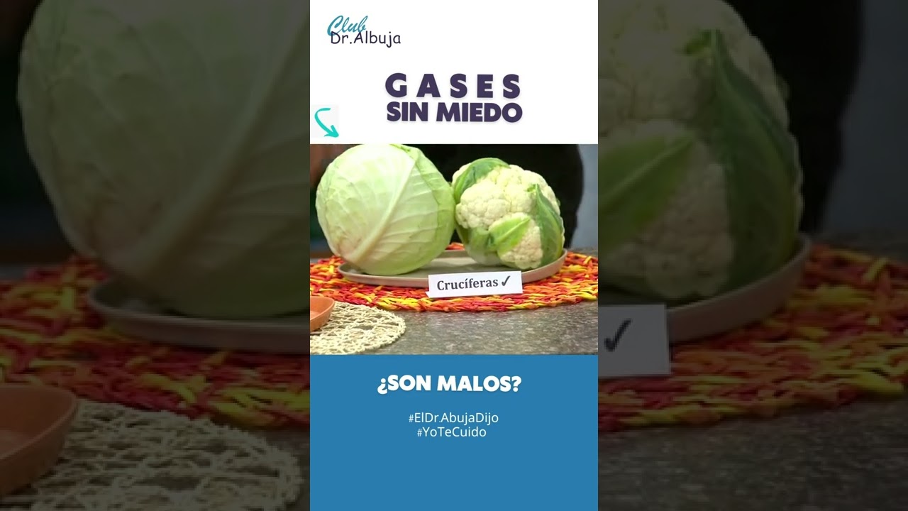&iquest;Qu&eacute; alimentos debo consumir diario 😳?