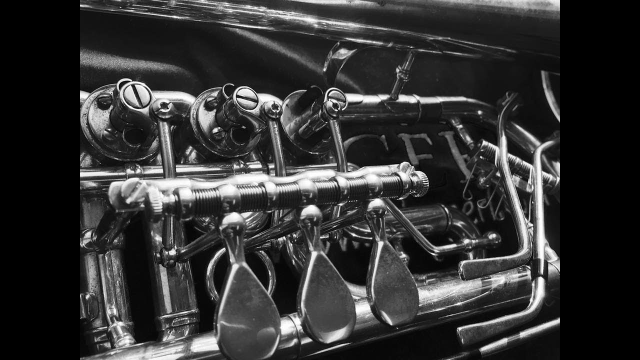 Wurm: Study  No. 40, from 40 Studies. COVID Etude Project No. 34