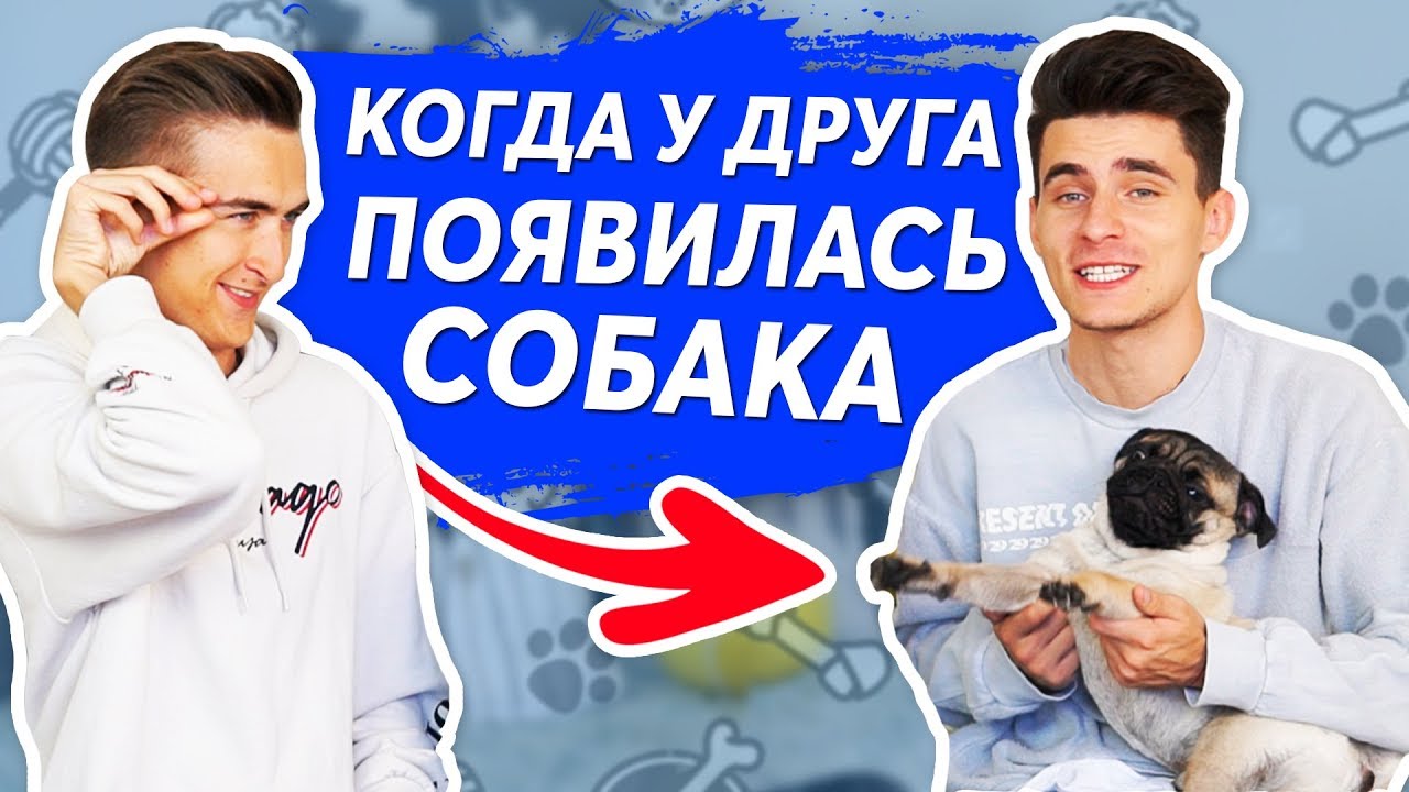 КОГДА У ДРУГА ПОЯВИЛАСЬ СОБАКА!