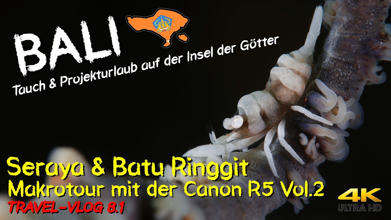 Tauchen auf BALI - Seraya & Batu Ringgit 