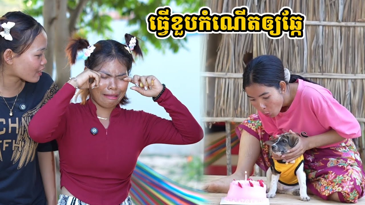 រឿង ធ្វើខួបកំណើតឲ្យឆ្កែ