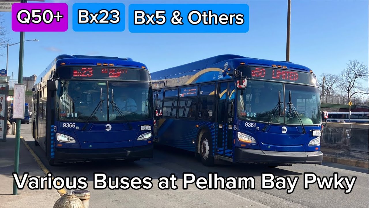 Various Buses at Pelham Bay Park