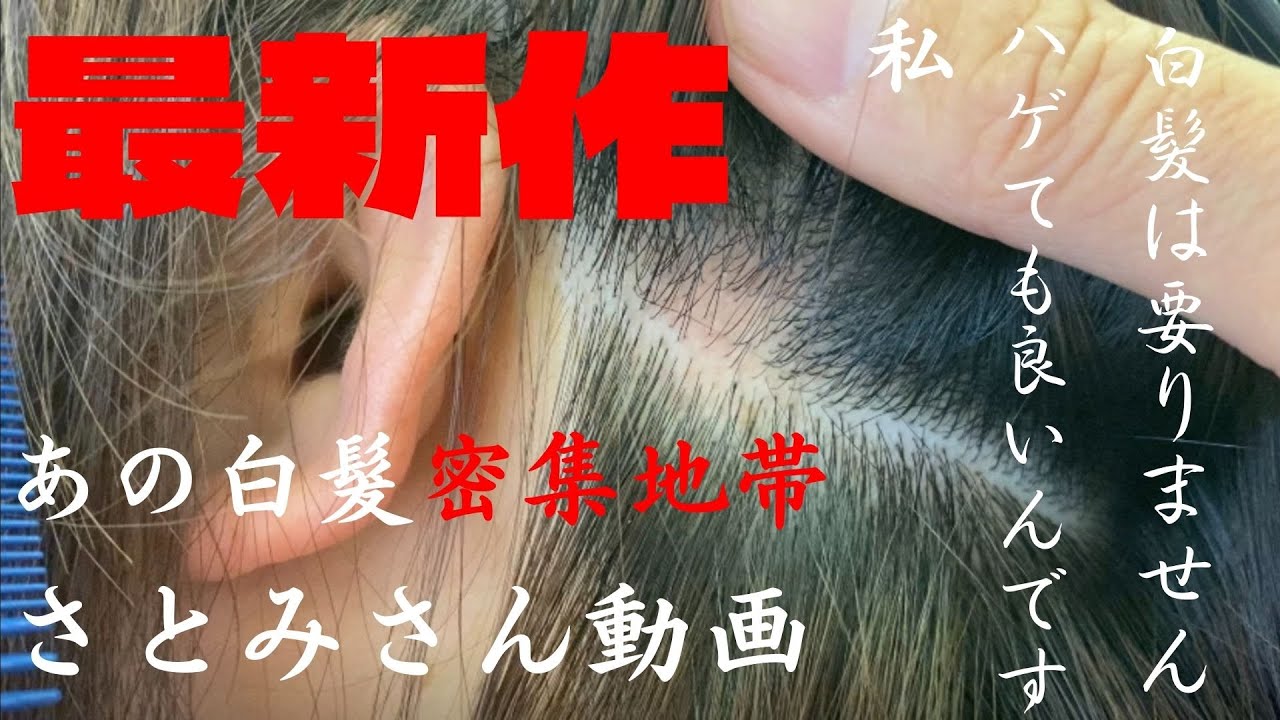 「白髪抜き」最新作 白髪密集地帯さとみさん動画