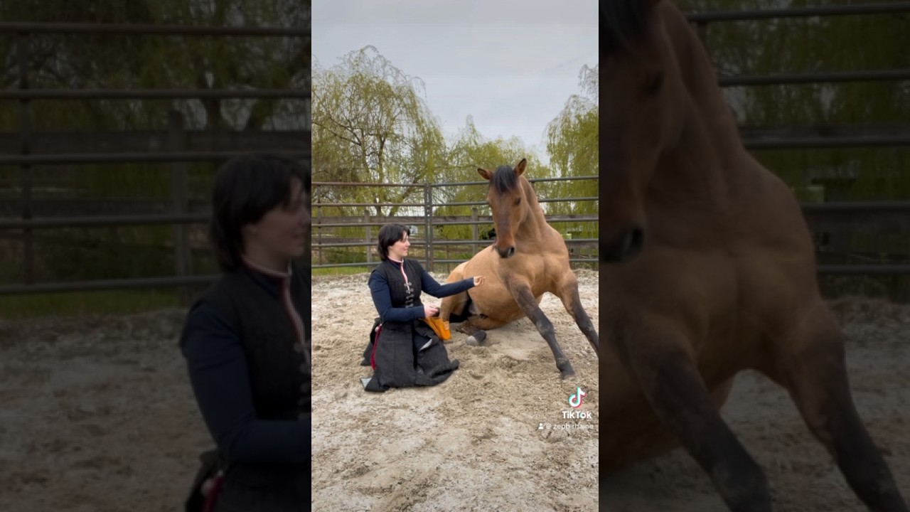He&rsquo;s the coolest. #horsetrainer #clickertraininghorses #horselover #equestrian #rescuehorse #horse