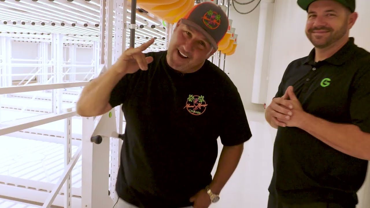 Cultivation Airflow With Grow Glide's Darin Siples and Miami Mango!