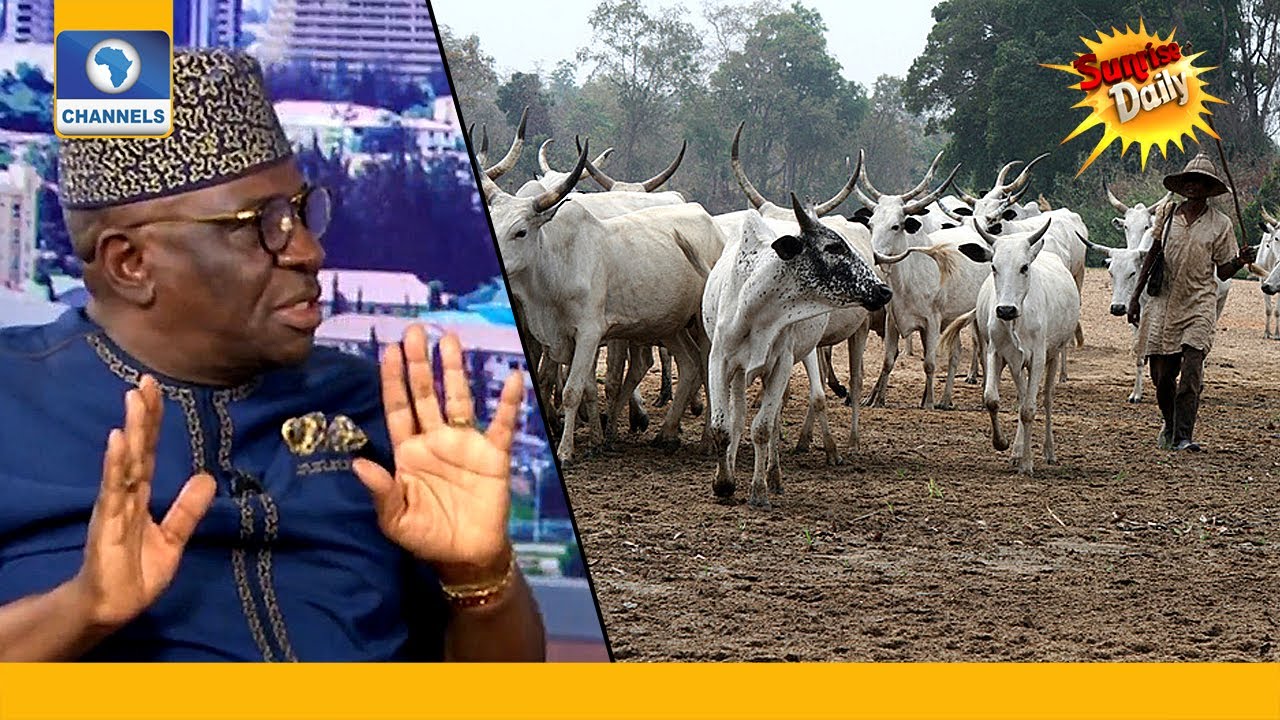 Why Senators Backed Southern Governors On Open Grazing Ban - Lawmaker