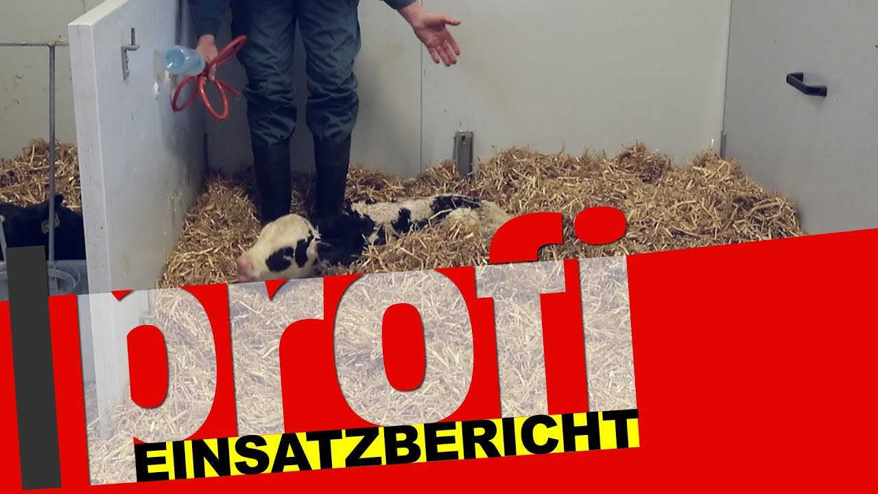 EuroTier Spezial: Einsatzbericht Heusmann Soft-Drencher