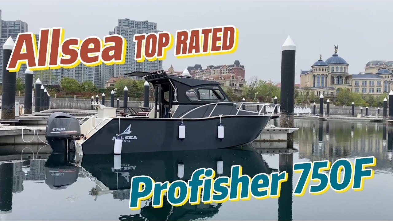 Allsea Boats---7.5m aluminum Profisher boat with great performance.