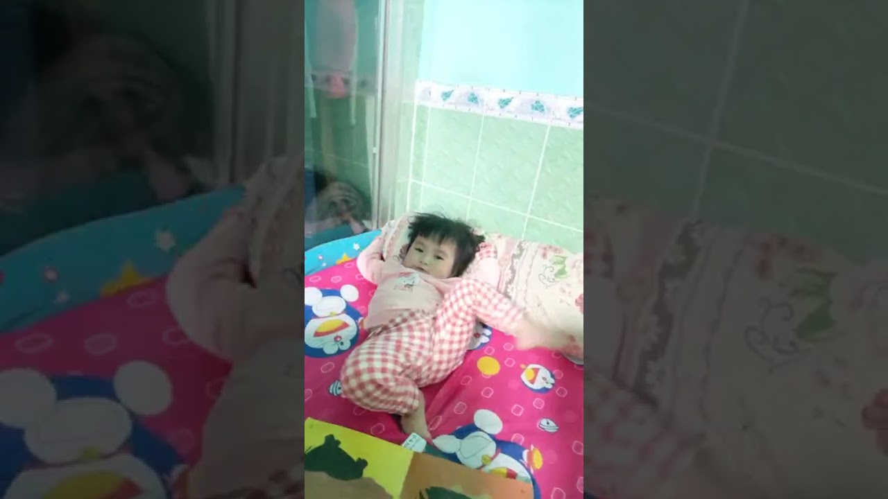 Bé học động vật biển
