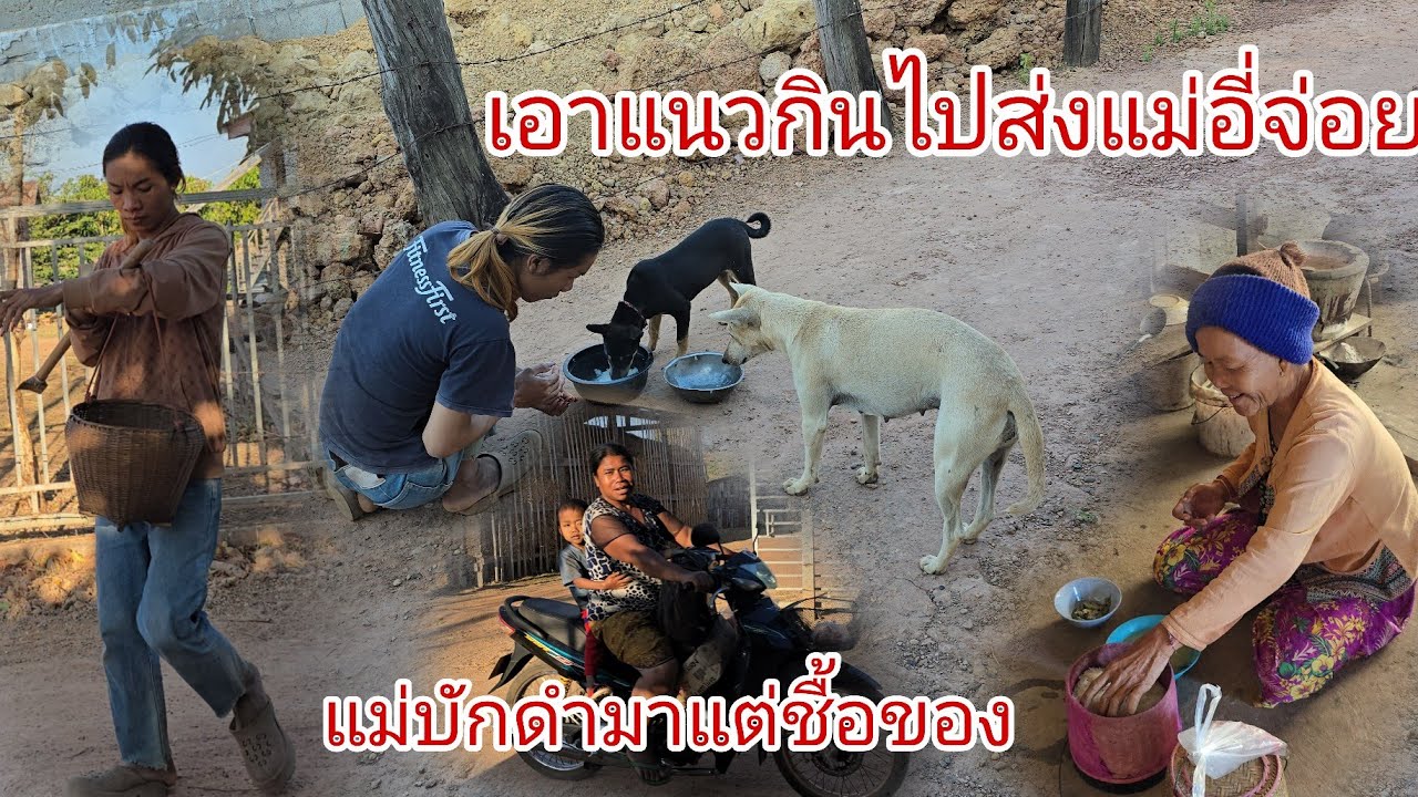 เบีดแล้วอี่จ่อยไปหาหน่อไม้แต่เช้ามืดบ่อหมานเอาแนวกินไปส่งแม่อี่จ่อยกำลังกินข้าว