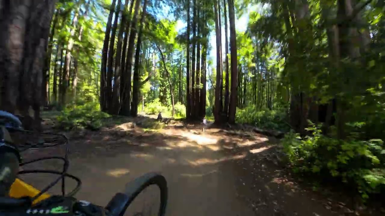 Sweetness Upper Segment MTB Trail Follow Cam Santa Cruz, CA 