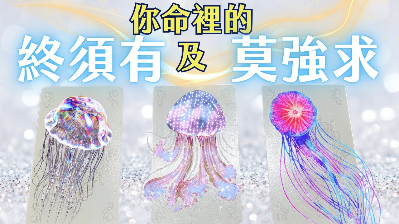 【🌕 放下，讓宇宙接手】你命裡的終須有及莫強求｜靈魂成長｜塔羅神諭牌卡畫畫解讀｜無時間限制
