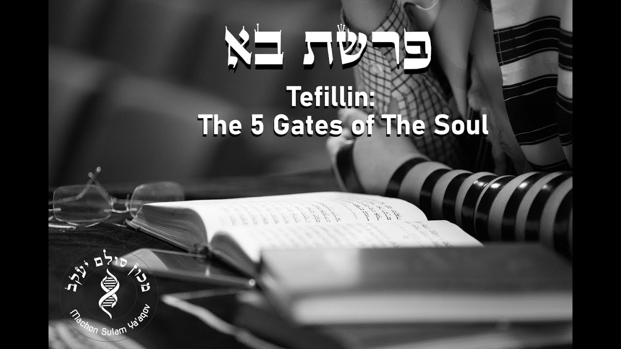 Parashat Bo: Tefillin - The Five Gates of The Soul
