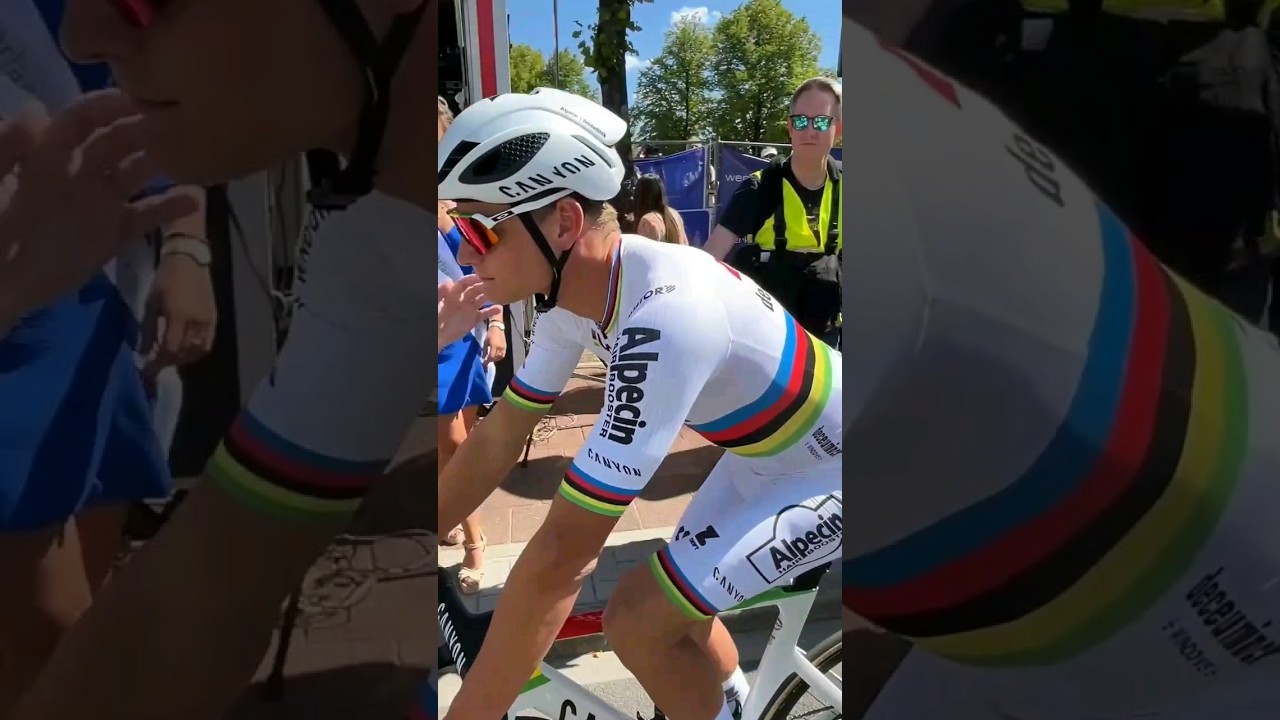 World Champion 🌈 