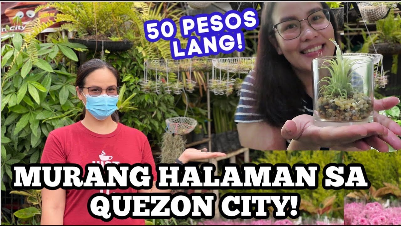 PLANT SHOPPING SA FARMERS GARDEN CUBAO + PLANTS HAUL!