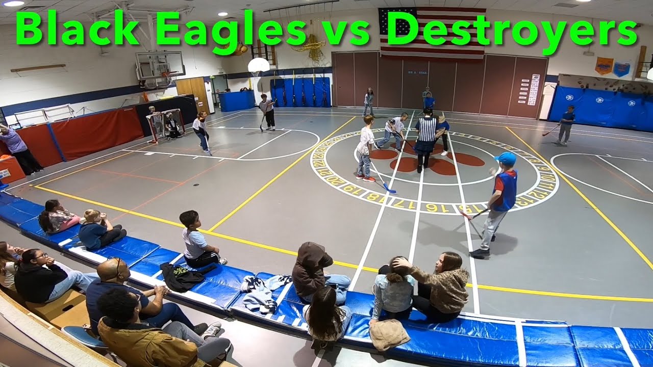 Black Eagles vs Destroyers 
