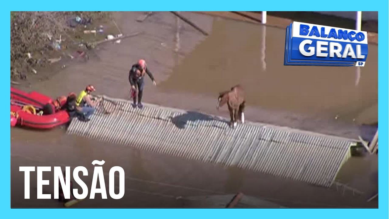 Bombeiros falam sobre tensão de resgatar cavalo ilhado no RS