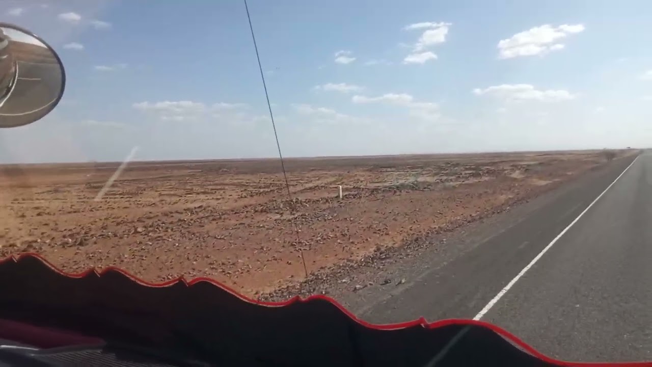 Kenya's desert life.