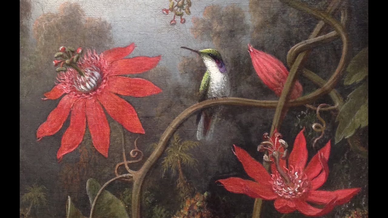 Orchids & Hummingbirds: tribute to the exotic art of Martin Johnson Heade. His paintings come alive.