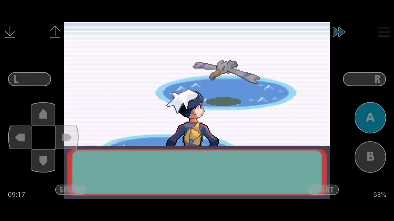 Pokémon rubis parti 8