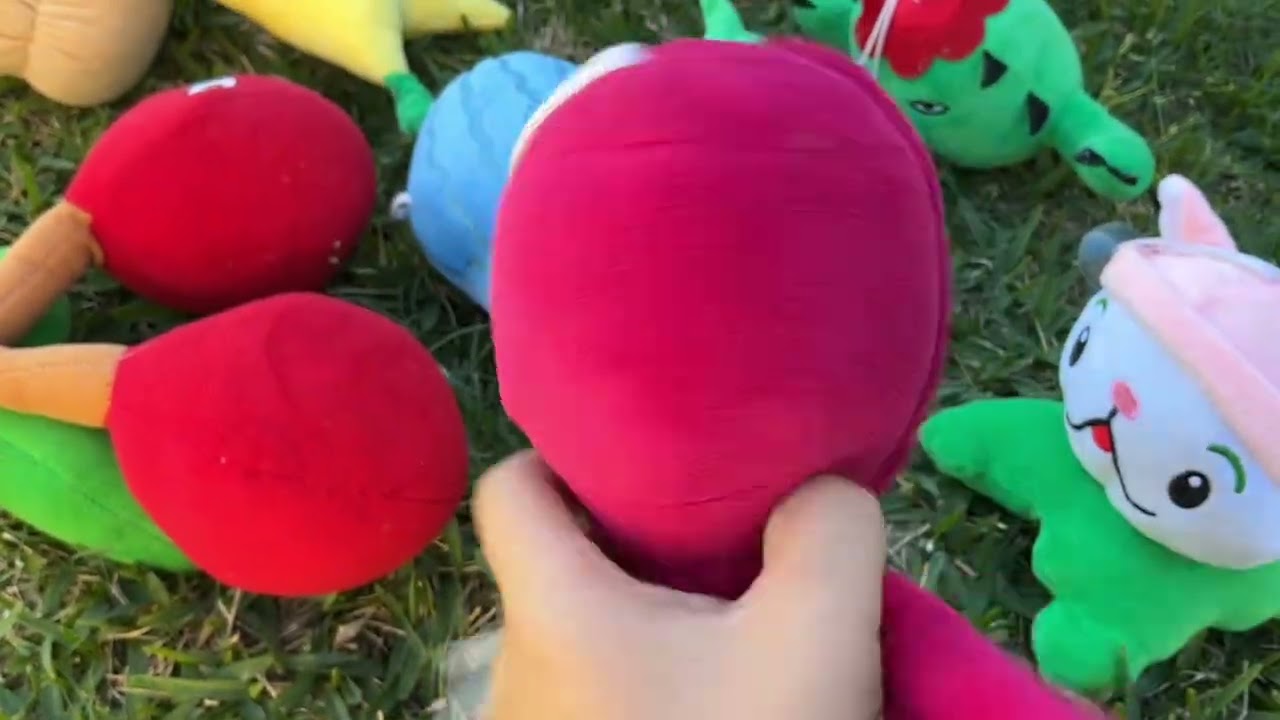 Comni bombardea le jardín 