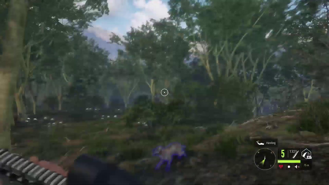 Let's do some Hunting