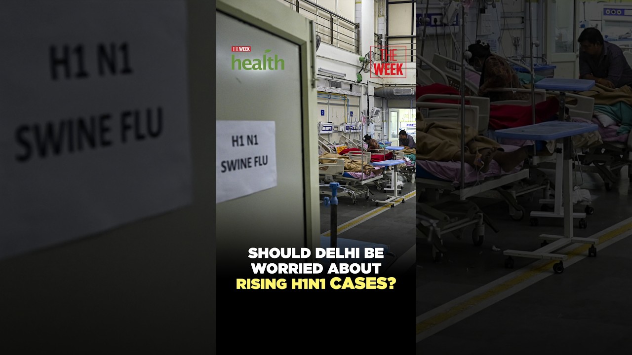 What Delhi&rsquo;s rising swine flu cases mean for you | Health Decoded with THE WEEK