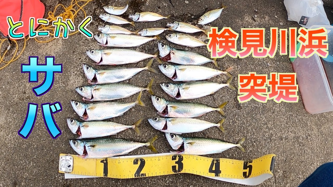 【検見川浜突堤】秋のハイシーズン！潮通しの良い堤防でサバが入れ食いに！