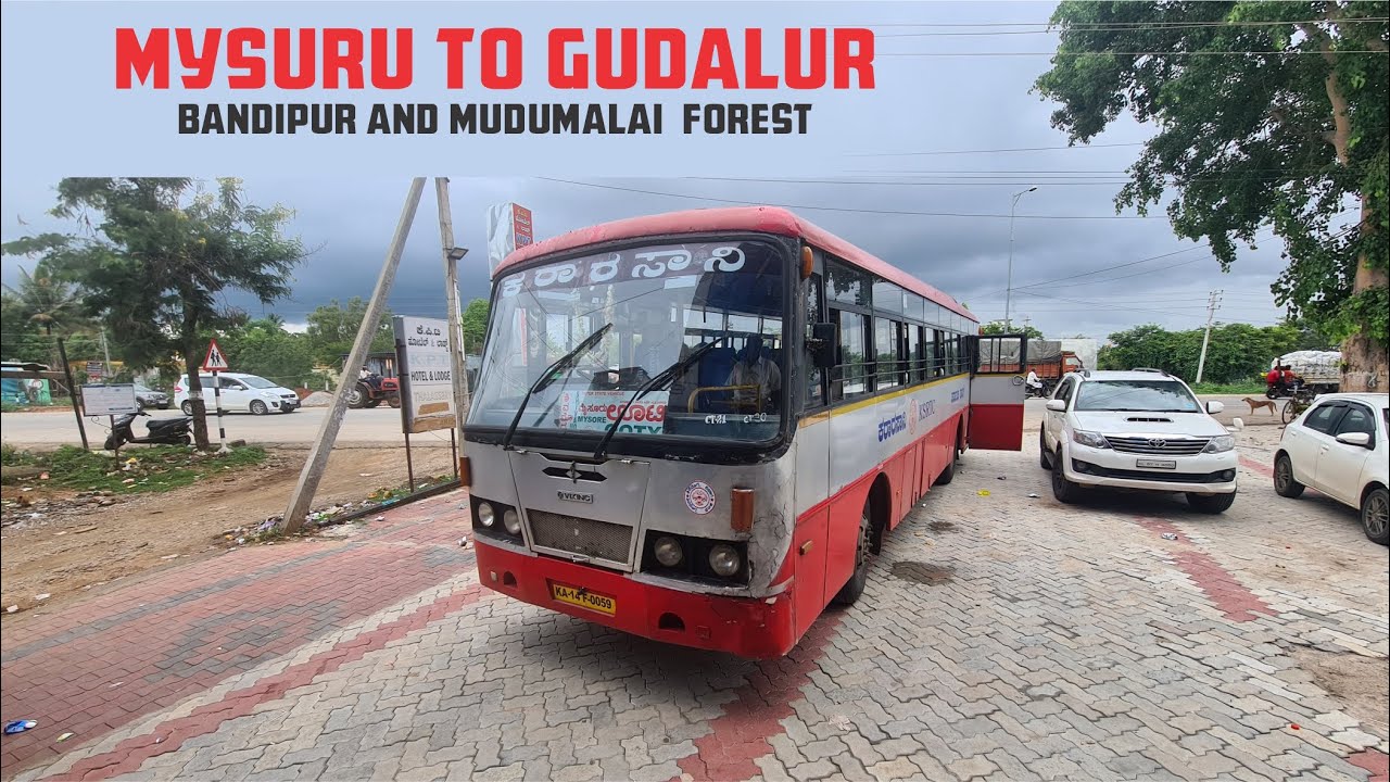 Mysore to Gudalur Ksrtc Safari via Bandipur and Mudumalai Forest