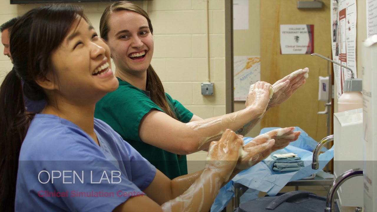 WSU College of Veterinary Medicine: Healthcare Simulation Montage