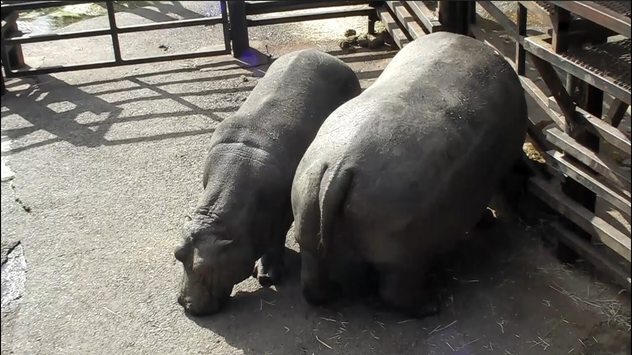 長崎バイオパーク (2014.2.15)