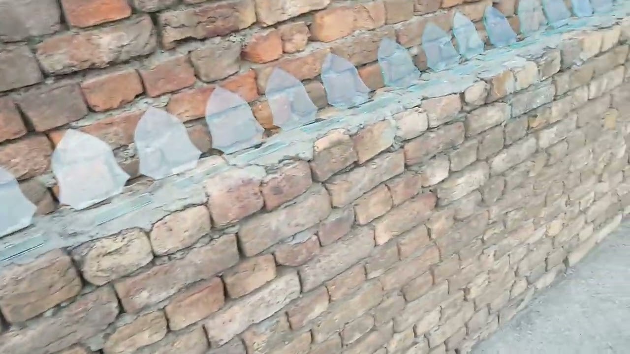 Award ceremony Shield