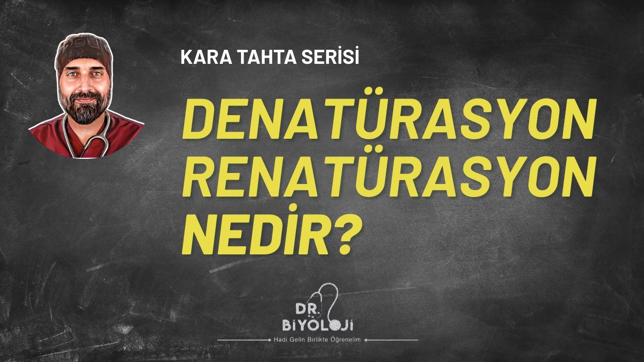 Denatürasyon Nedir? | Kara Tahta Serisi | Dr. Biyoloji