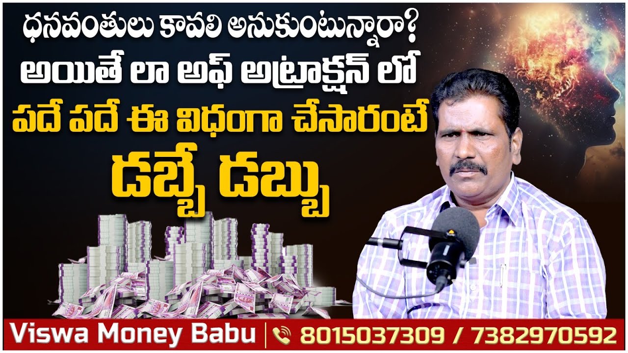 ఈ విధంగా చేసారంటే డబ్బే డబ్బు | Viswa Money Babu Interview | How To Manifestation Money | Vikram Tv