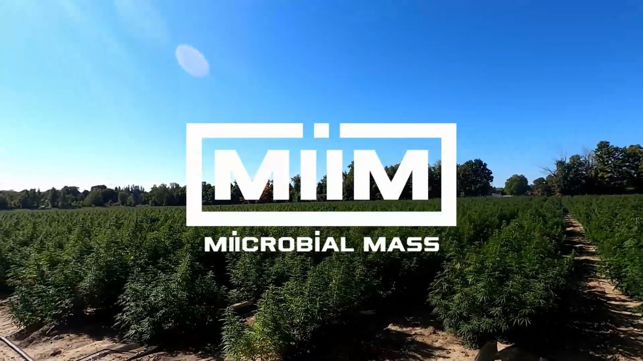 Which version of Miicrobial Mass is right for you?